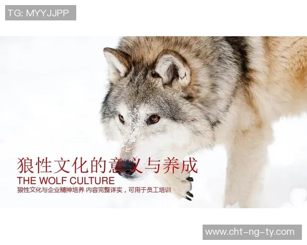 德国足球队队歌的历史渊源与文化意义探讨 德国足球队队歌的历史渊源与文化意义探讨